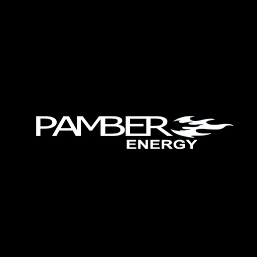 INTRODUCCIÓN A PAMBER ENERGY